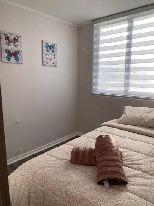 Departamento Centrico En ปูแอร์โตบารัส ภายนอก รูปภาพ